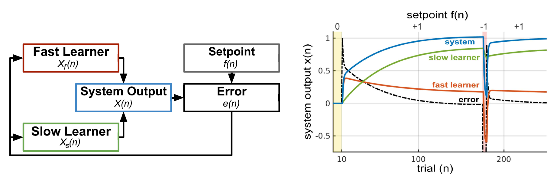 Learning & memory ENSLAB
